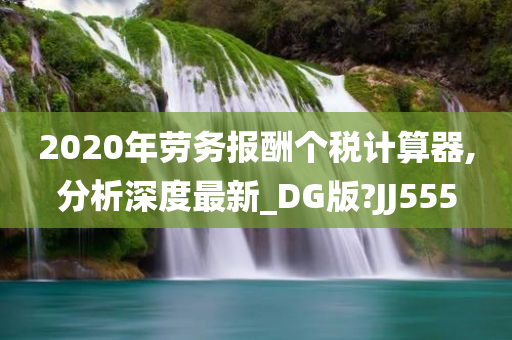 2020年劳务报酬个税计算器,分析深度最新_DG版?JJ555