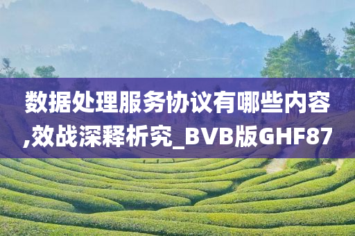 数据处理服务协议有哪些内容,效战深释析究_BVB版GHF87