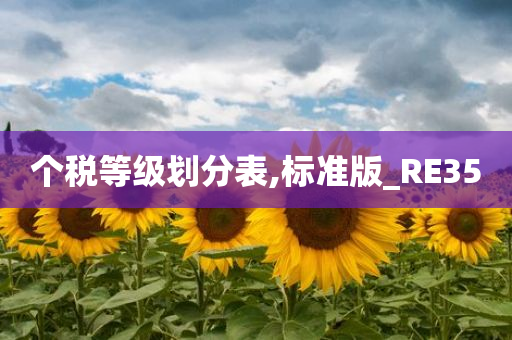 个税等级划分表,标准版_RE35