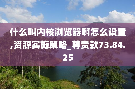 什么叫内核浏览器啊怎么设置,资源实施策略_尊贵款73.84.25