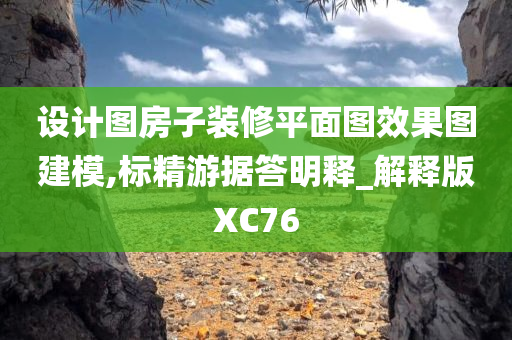 设计图房子装修平面图效果图建模,标精游据答明释_解释版XC76