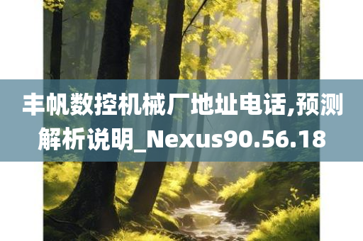 丰帆数控机械厂地址电话,预测解析说明_Nexus90.56.18