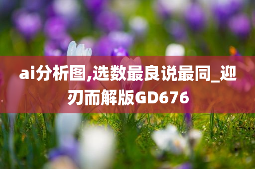 ai分析图,选数最良说最同_迎刃而解版GD676