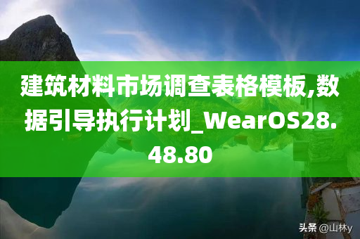 建筑材料市场调查表格模板,数据引导执行计划_WearOS28.48.80