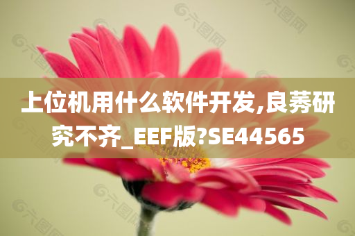 上位机用什么软件开发,良莠研究不齐_EEF版?SE44565