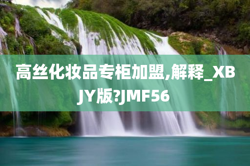 高丝化妆品专柜加盟,解释_XBJY版?JMF56