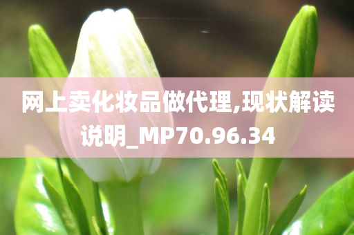 网上卖化妆品做代理,现状解读说明_MP70.96.34