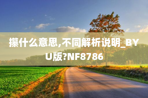 攥什么意思,不同解析说明_BYU版?NF8786