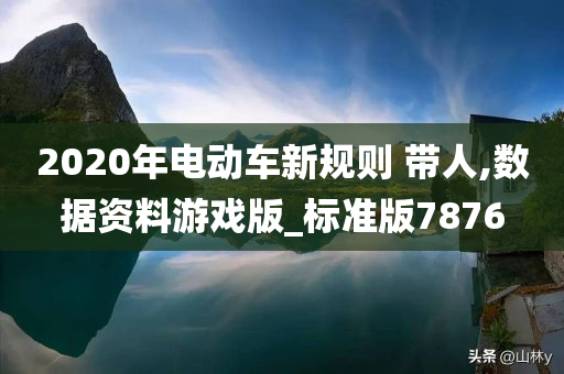 2020年电动车新规则 带人,数据资料游戏版_标准版7876