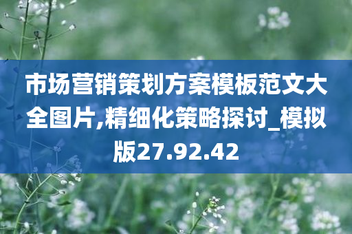 市场营销策划方案模板范文大全图片,精细化策略探讨_模拟版27.92.42