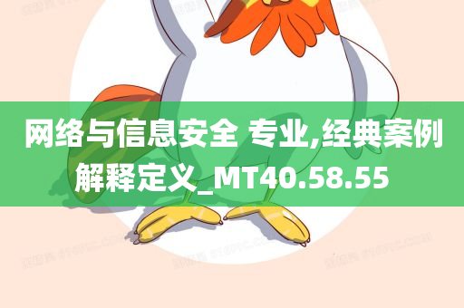 网络与信息安全 专业,经典案例解释定义_MT40.58.55