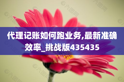 代理记账如何跑业务,最新准确效率_挑战版435435