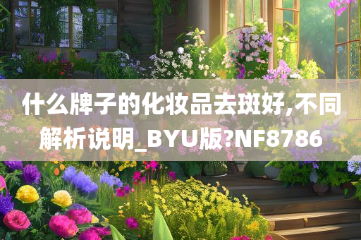 什么牌子的化妆品去斑好,不同解析说明_BYU版?NF8786