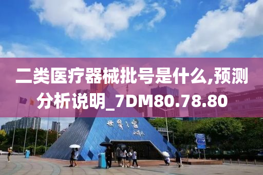 二类医疗器械批号是什么,预测分析说明_7DM80.78.80