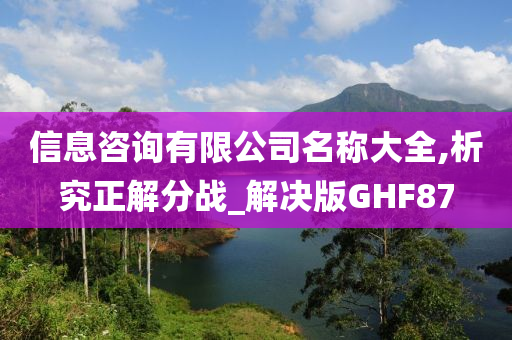 信息咨询有限公司名称大全,析究正解分战_解决版GHF87