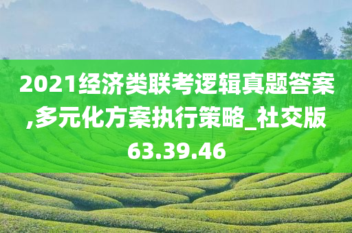 2021经济类联考逻辑真题答案,多元化方案执行策略_社交版63.39.46