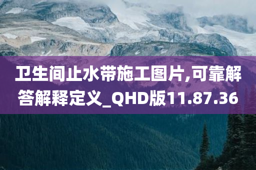 卫生间止水带施工图片,可靠解答解释定义_QHD版11.87.36