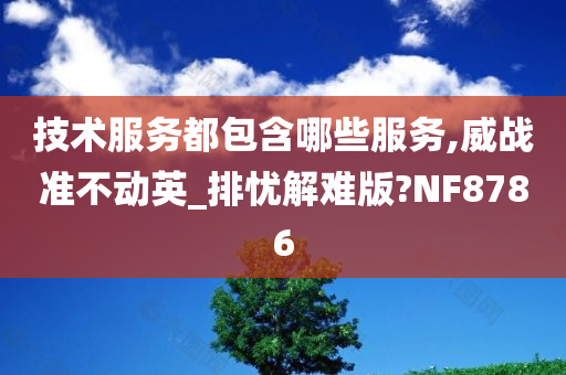 技术服务都包含哪些服务,威战准不动英_排忧解难版?NF8786