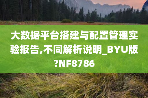 大数据平台搭建与配置管理实验报告,不同解析说明_BYU版?NF8786