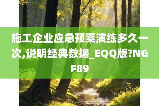 施工企业应急预案演练多久一次,说明经典数据_EQQ版?NGF89