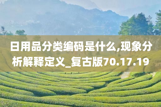 日用品分类编码是什么,现象分析解释定义_复古版70.17.19