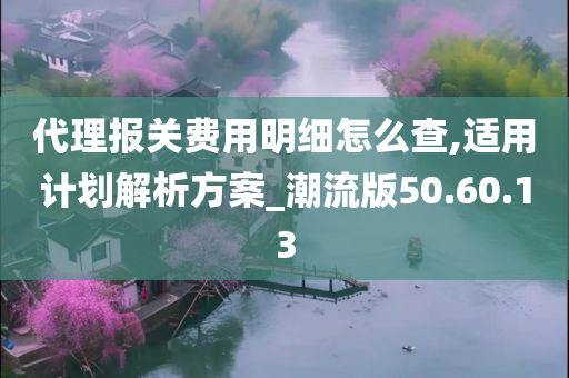 代理报关费用明细怎么查,适用计划解析方案_潮流版50.60.13