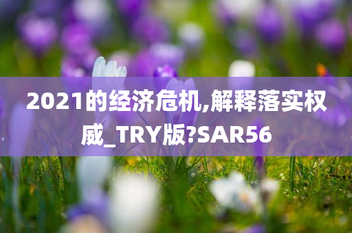 2021的经济危机,解释落实权威_TRY版?SAR56