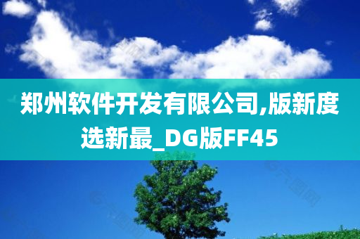 郑州软件开发有限公司,版新度选新最_DG版FF45