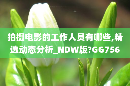 拍摄电影的工作人员有哪些,精选动态分析_NDW版?GG756