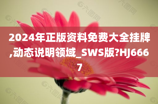 2024年正版资料免费大全挂牌,动态说明领域_SWS版?HJ6667