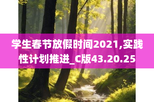 学生春节放假时间2021,实践性计划推进_C版43.20.25