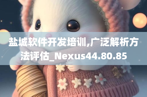 盐城软件开发培训,广泛解析方法评估_Nexus44.80.85