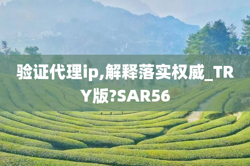 验证代理ip,解释落实权威_TRY版?SAR56