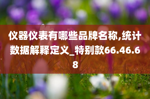 仪器仪表有哪些品牌名称,统计数据解释定义_特别款66.46.68