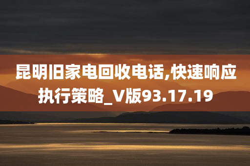 昆明旧家电回收电话,快速响应执行策略_V版93.17.19