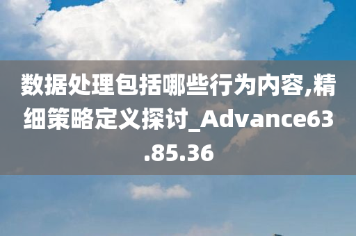 数据处理包括哪些行为内容,精细策略定义探讨_Advance63.85.36