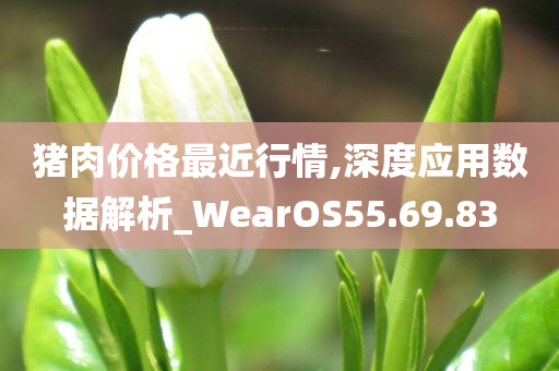 猪肉价格最近行情,深度应用数据解析_WearOS55.69.83