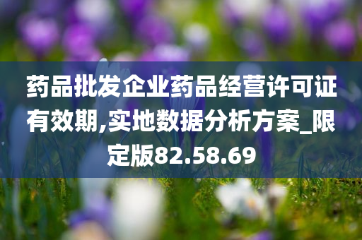 药品批发企业药品经营许可证有效期,实地数据分析方案_限定版82.58.69