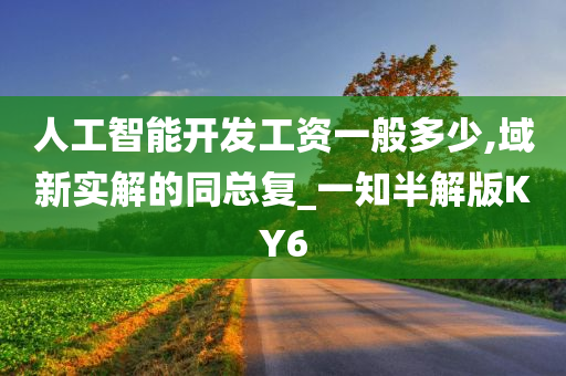 人工智能开发工资一般多少,域新实解的同总复_一知半解版KY6