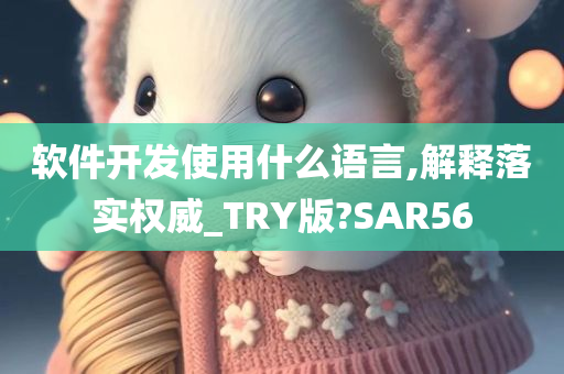 软件开发使用什么语言,解释落实权威_TRY版?SAR56