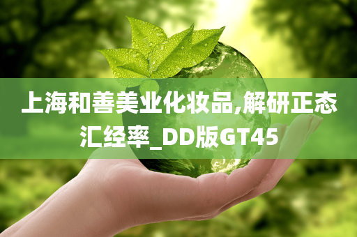 上海和善美业化妆品,解研正态汇经率_DD版GT45