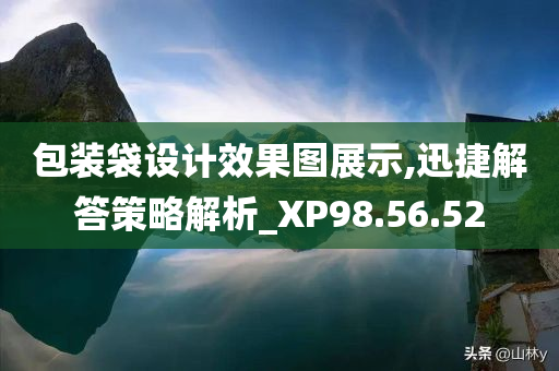 包装袋设计效果图展示,迅捷解答策略解析_XP98.56.52