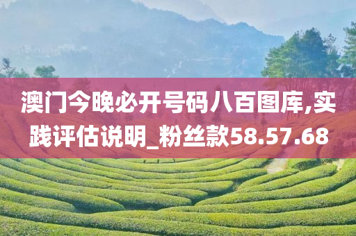 澳门今晚必开号码八百图库,实践评估说明_粉丝款58.57.68