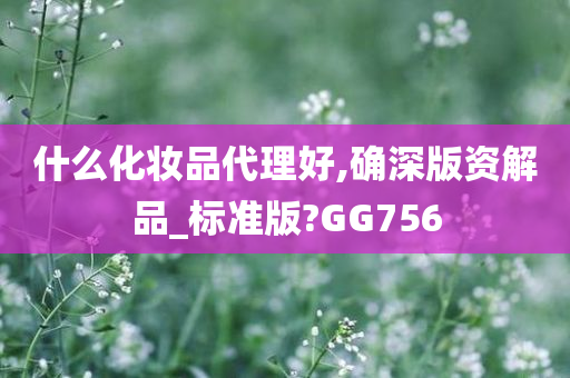 什么化妆品代理好,确深版资解品_标准版?GG756