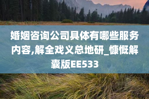 婚姻咨询公司具体有哪些服务内容,解全戏义总地研_慷慨解囊版EE533