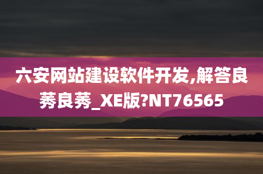 六安网站建设软件开发,解答良莠良莠_XE版?NT76565