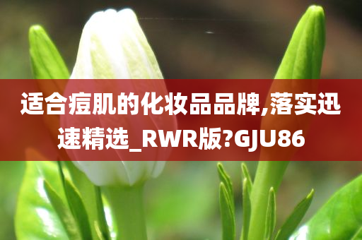 适合痘肌的化妆品品牌,落实迅速精选_RWR版?GJU86