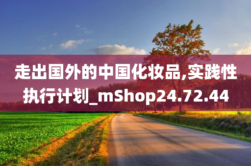 走出国外的中国化妆品,实践性执行计划_mShop24.72.44