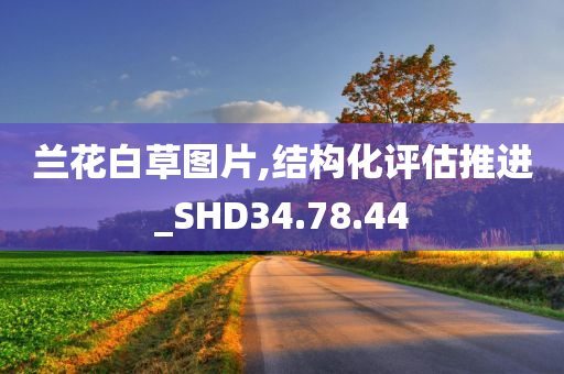 兰花白草图片,结构化评估推进_SHD34.78.44