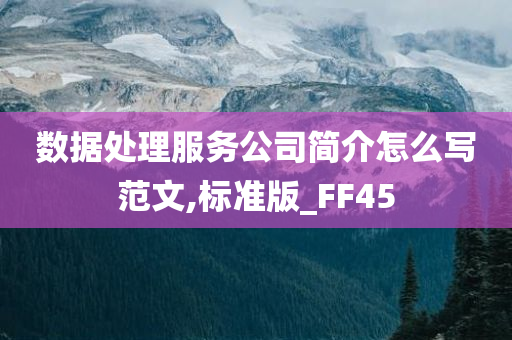 数据处理服务公司简介怎么写范文,标准版_FF45